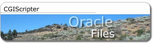 CGIScripter - Oracle Files - Title Graphic